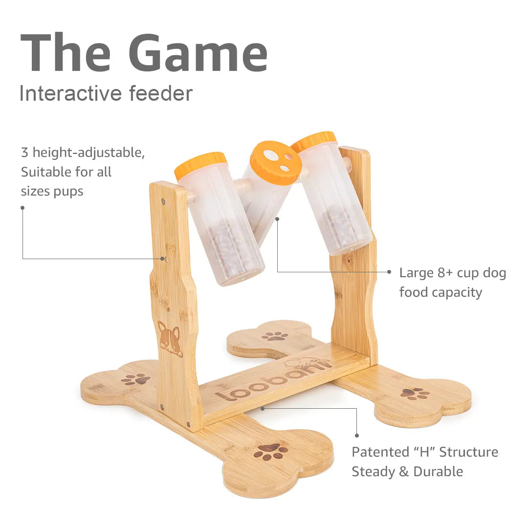 3-Bottle Dog Puzzle Toy Feeder